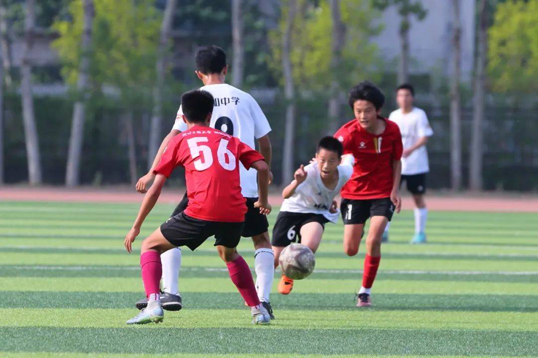 化契合度 化契合度