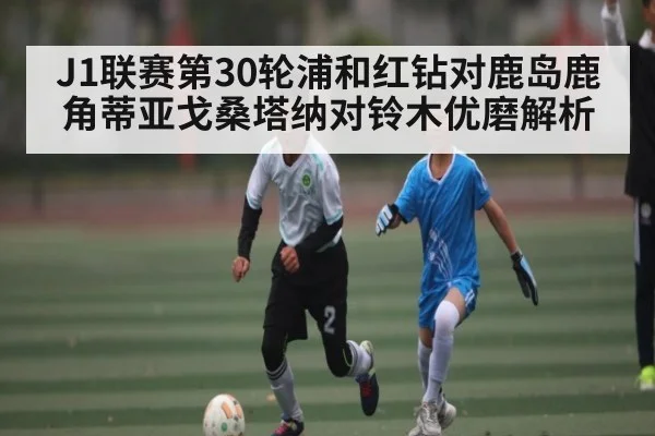 J1联赛第30轮浦和红钻对鹿岛鹿角蒂亚戈桑塔纳对铃木优磨解析