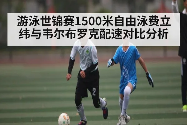 游泳世锦赛1500米自由泳费立纬与韦尔布罗克配速对比分析